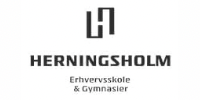 Herningsholm Erhvervsgymnasium